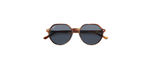 Óculos de Sol Ray Ban Thalia