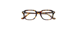 Óculos de Grau Moscot Gatkes Tortoise