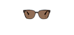 Óculos de Sol Ray Ban RB4437L