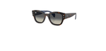 Óculos de Sol Ray Ban Jorge