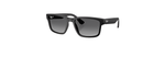 Óculos de Sol Ray Ban RB4438L
