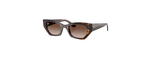 Óculos de Sol Ray Ban Zena
