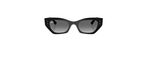 Óculos de Sol Ray Ban Zena