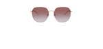 Óculos de Sol Ray Ban RB3680D