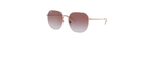 Óculos de Sol Ray Ban RB3680D