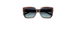 Óculos de Sol Tiffany TF4235