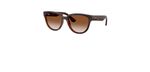 Óculos de Sol Ray Ban RB4463