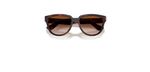 Óculos de Sol Ray Ban RB4463