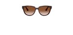 Óculos de Sol Ray Ban RB4463
