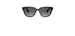 Óculos de Sol Ray Ban RB4463