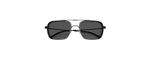 Óculos de Sol Emporio Armani EA2162