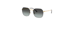 Óculos de Sol Ray Ban Jim