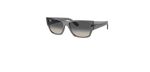 Óculos de Sol Ray Ban Carlos