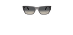 Óculos de Sol Ray Ban Carlos