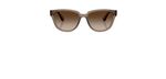 Óculos de Sol Ray Ban RB4463