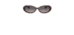 Óculos de Sol Ray Ban RB2223