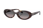 Óculos de Sol Ray Ban RB2223