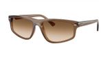 Óculos de Sol Ray Ban RB2225