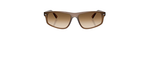 Óculos de Sol Ray Ban RB2225