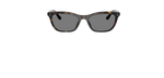 Óculos de Sol Ray Ban RB4474D