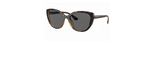 Óculos de Sol Armani Exchange AX4111SU