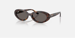 Óculos de Sol Ray Ban RB2223
