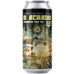 O ACHADO 