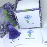 Kit Cartões Hortênsia + Envelopes + Caixa