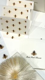 Kit Cartões Abelha off white + Envelopes forrados + Adesivos + Caixa