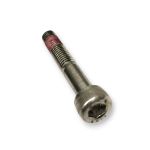 Parafuso Superior do Protetor Motor Bajaj Dominar 200 Original