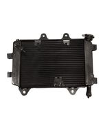 Radiador Bajaj Dominar 400 Original