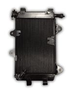 Radiador Bajaj Dominar 400 Original