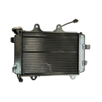 Conjunto do Radiador Bajaj Dominar 400 Original