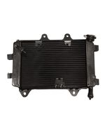 Radiador Bajaj Dominar 400 Original