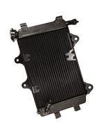 Radiador Bajaj Dominar 400 Original