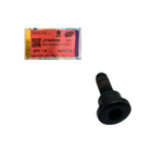 Parafuso Fixador do Guia Corrente de Comando Bajaj Original