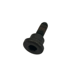Parafuso Fixador do Guia Corrente de Comando Bajaj Original