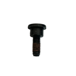 Parafuso Fixador do Guia Corrente de Comando Bajaj Original