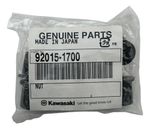 Bucha Porca Flange Kawasaki 92015-1700 Original