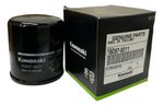 Filtro De Óleo Kawasaki Ninja Zx-10r 2017 A 2025 Original