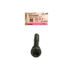 Parafuso Soquete Bajaj M6x1 Original 