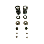 Kit de Reparação da Válvula Bajaj Dominar NS 160 Original