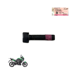 Parafuso Fixador do Protetor de Mão Bajaj Dominar 400 Original