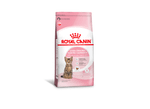 Ração Royal Canin Kitten Sterilised Gatos Filhotes Castrados 6 a 12 meses 1,5kg