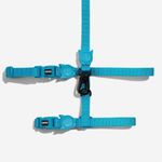 Peitoral + Guia para Gatos ZeeCat Ultimate Blue