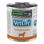 Alimento Úmido Patê Vet Life Convalescence Cães 300g Farmina
