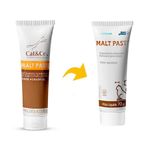 Malt Paste Suplemento Gatos Mundo Animal 70g Cat&Co