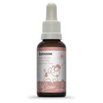 Bio Florais Estresse - 31ml