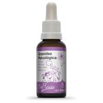 Bio Florais Gravidez Psicológica - 31ml