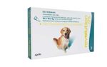 Revolution 12% Antipulgas Cães de 20,1kg a 40kg Zoetis 240 mg 3 pipetas